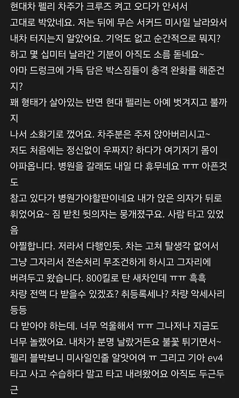 BYD 씨라이언 vs 현대 펠리세이드 크루즈 주행 추돌 사고