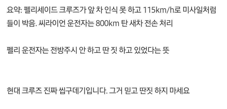 BYD 씨라이언 vs 현대 펠리세이드 크루즈 주행 추돌 사고