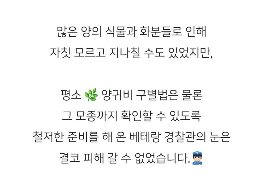 보라색 조명을 쓴다고 경찰에 신고당한 집
