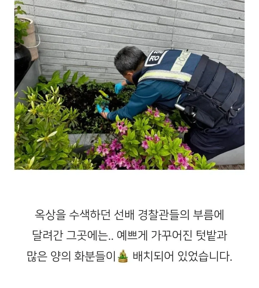 보라색 조명을 쓴다고 경찰에 신고당한 집
