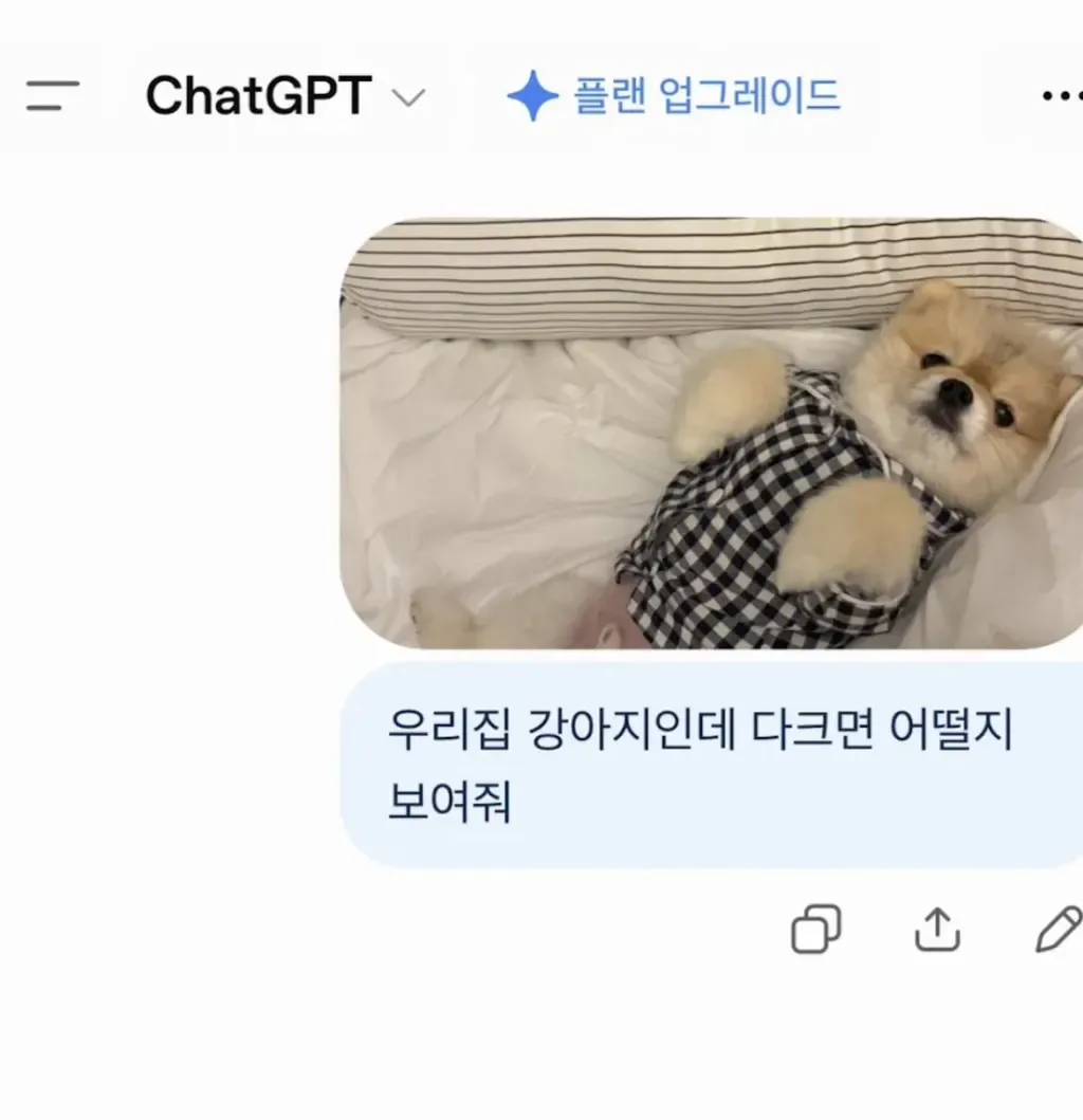강아지 다크면 어떤 모습일까