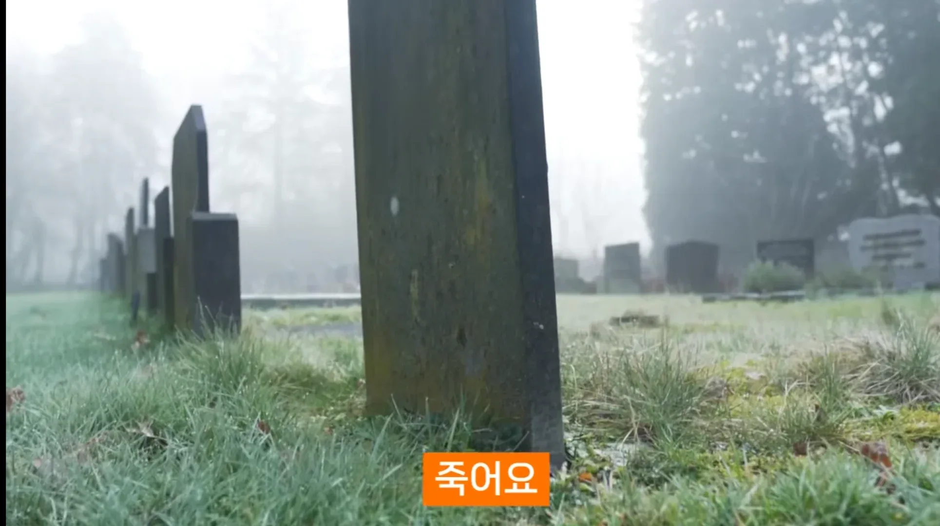 진화론을 믿지 않는 박진영