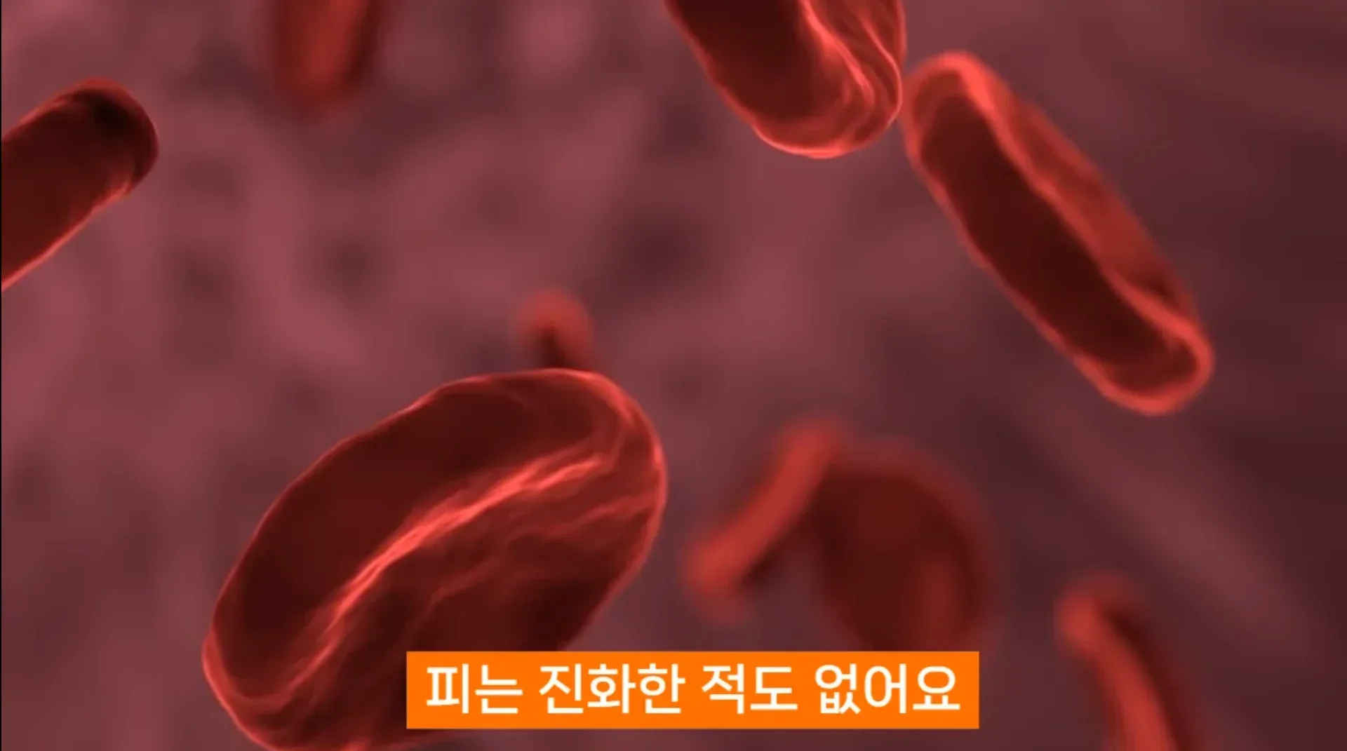 진화론을 믿지 않는 박진영