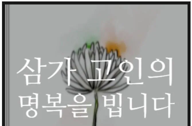 [1보] 제주 장기 실종 장미란씨 추정 시신 발견