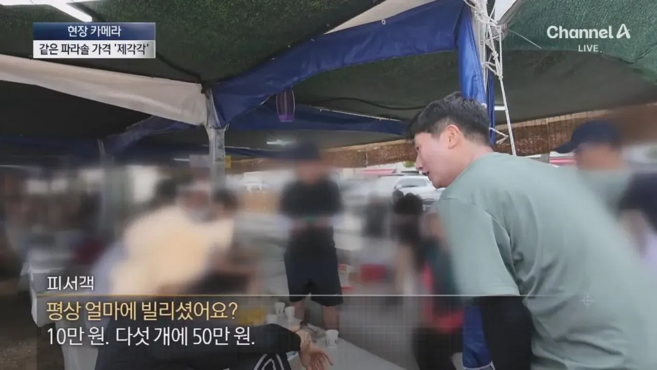 "바가지 싫으면 바다 오지마"... 정부 발표에도 여전한 바가지