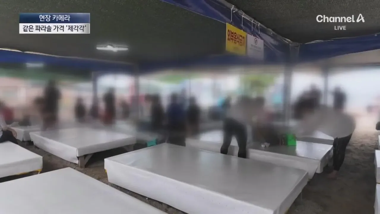 "바가지 싫으면 바다 오지마"... 정부 발표에도 여전한 바가지