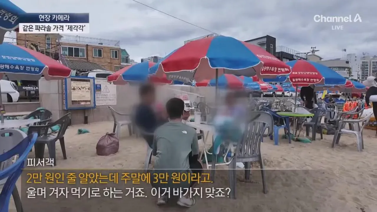 "바가지 싫으면 바다 오지마"... 정부 발표에도 여전한 바가지