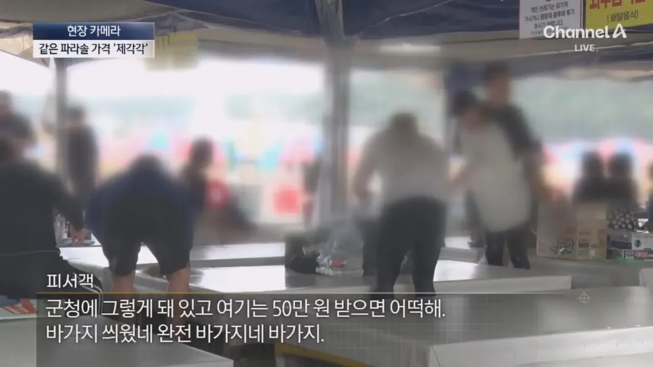 "바가지 싫으면 바다 오지마"... 정부 발표에도 여전한 바가지