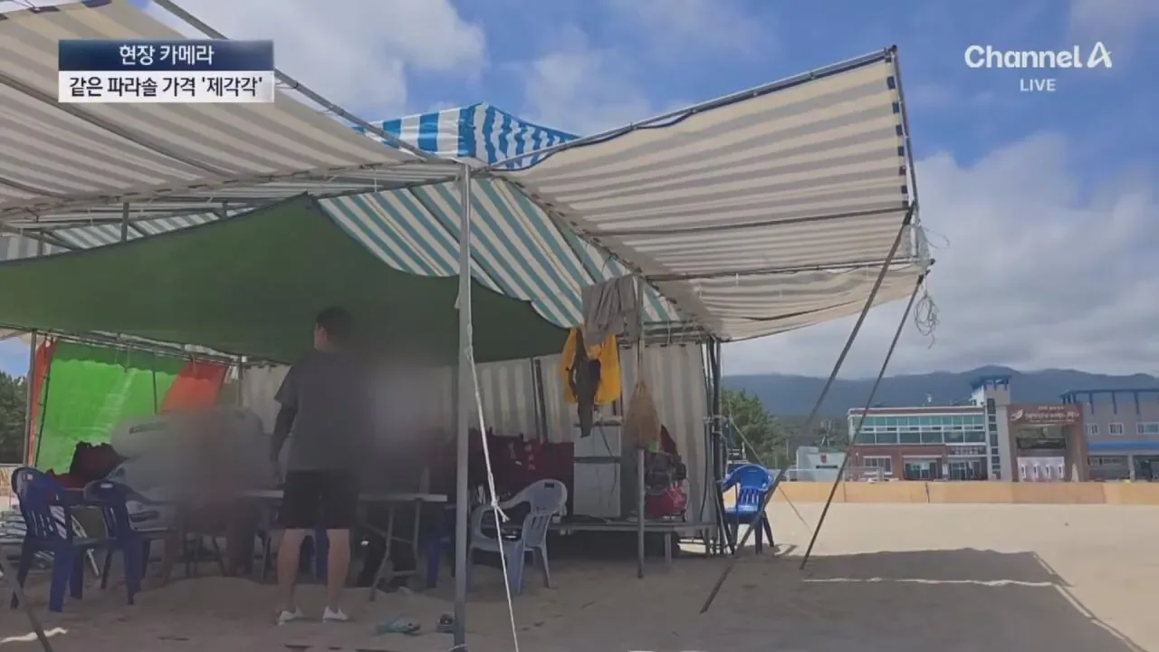 "바가지 싫으면 바다 오지마"... 정부 발표에도 여전한 바가지