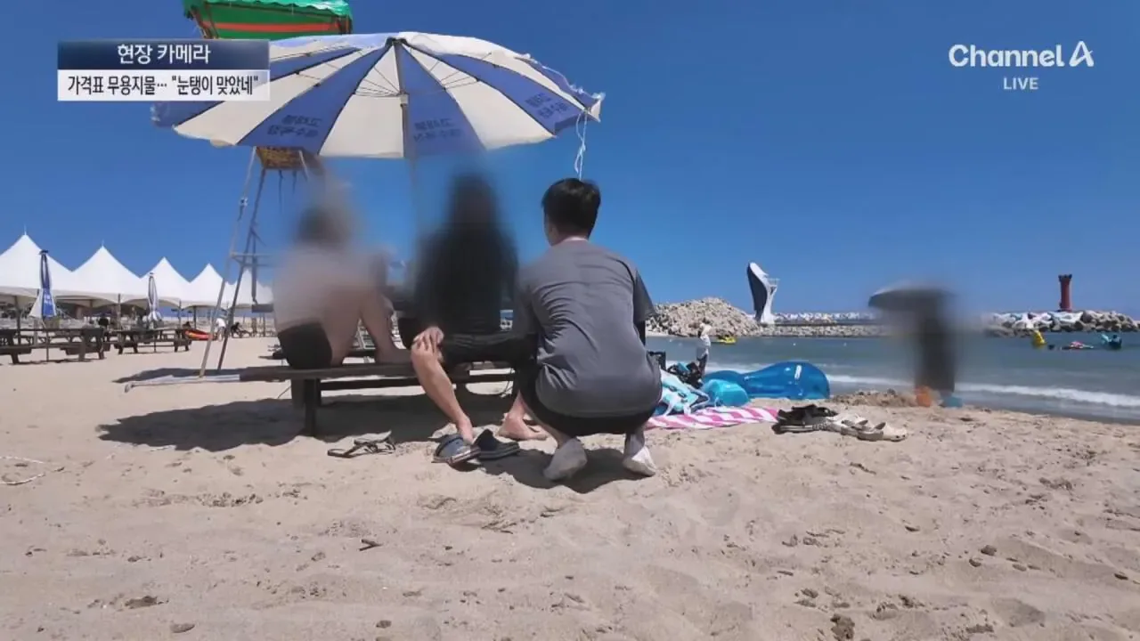 "바가지 싫으면 바다 오지마"... 정부 발표에도 여전한 바가지