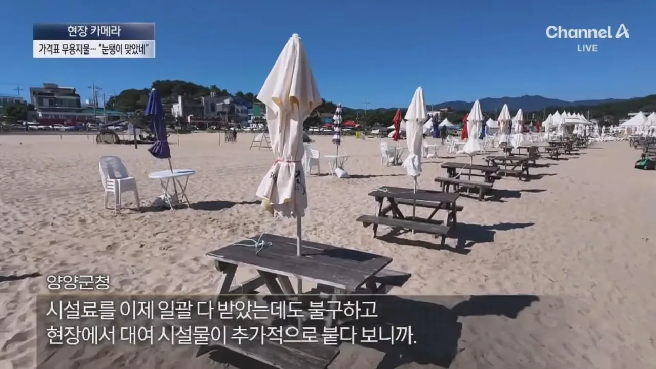 "바가지 싫으면 바다 오지마"... 정부 발표에도 여전한 바가지