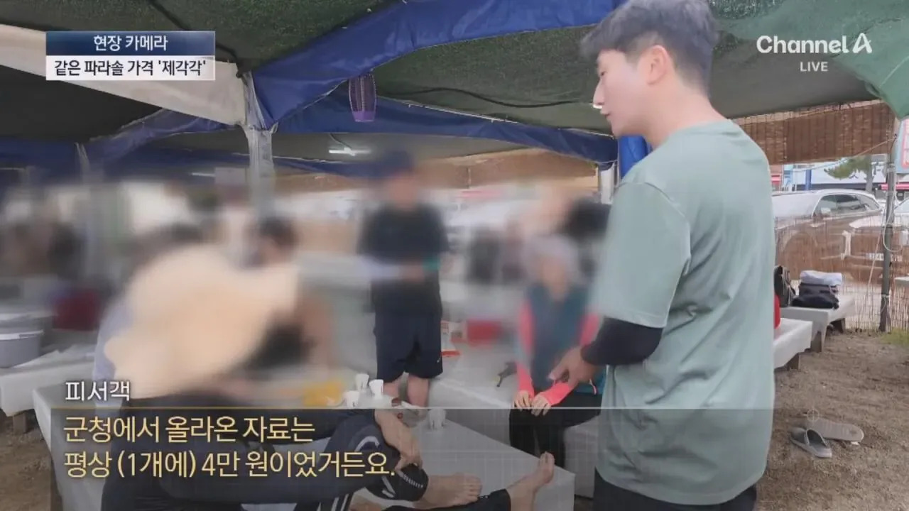 "바가지 싫으면 바다 오지마"... 정부 발표에도 여전한 바가지