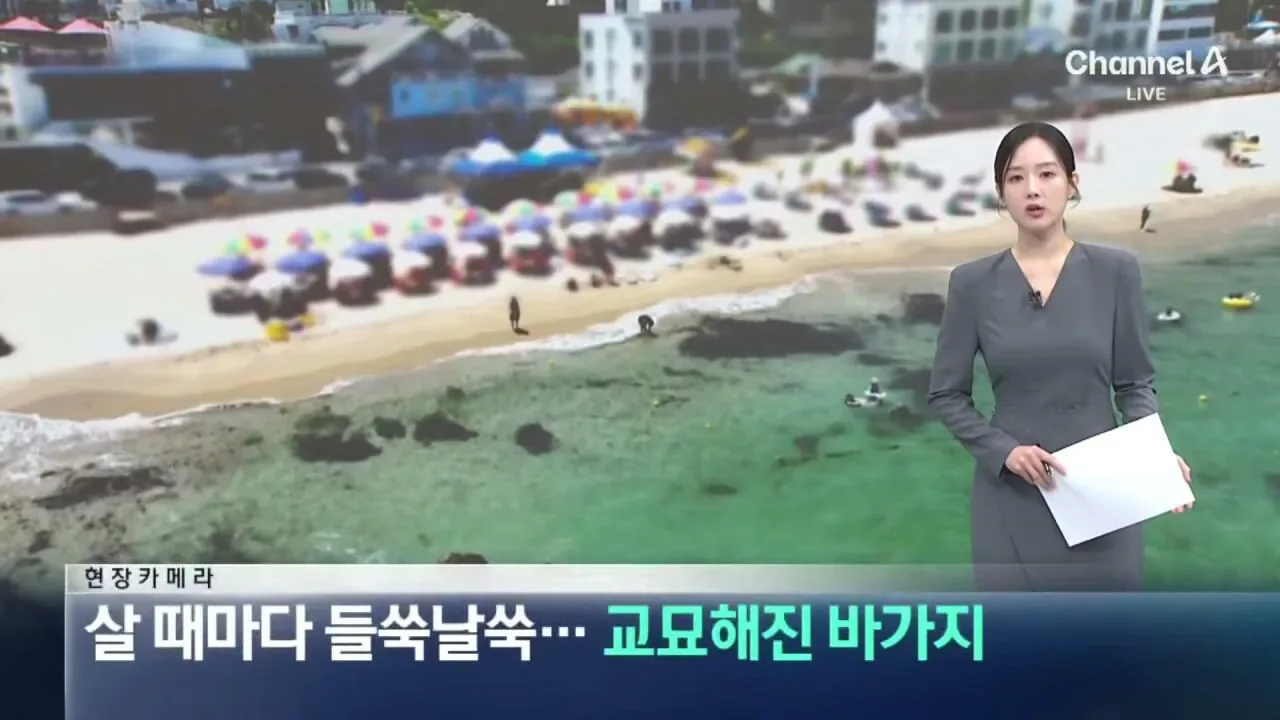 "바가지 싫으면 바다 오지마"... 정부 발표에도 여전한 바가지