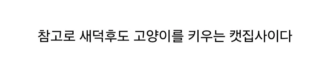 새덕후, "나는 고양이 혐오 안 한다"