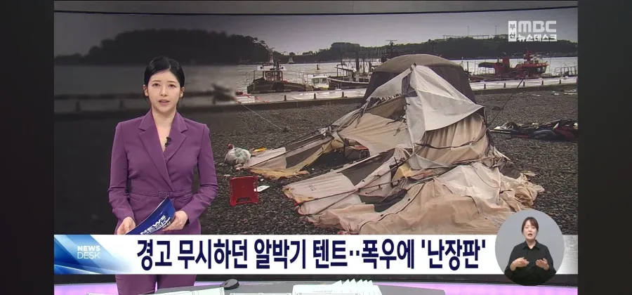 폭우에도 꿈쩍않던 알박기 텐트 근황