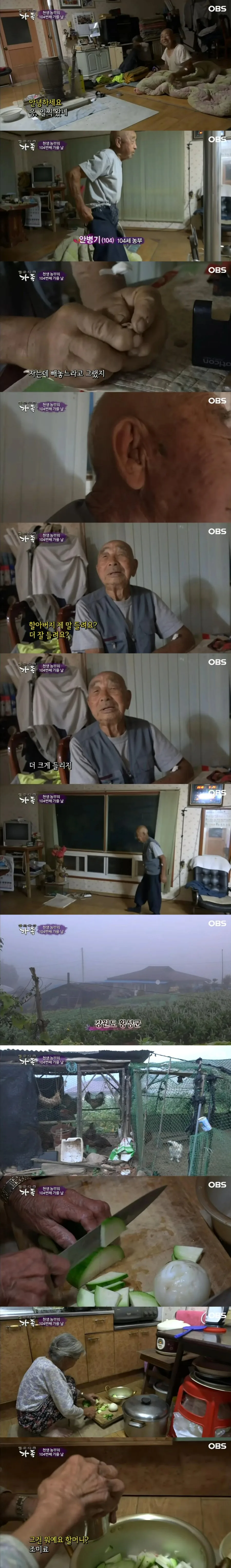 매일 아침 고봉밥 한 그릇씩 먹고 땡볕에 일하러 가는 104살 할아버지