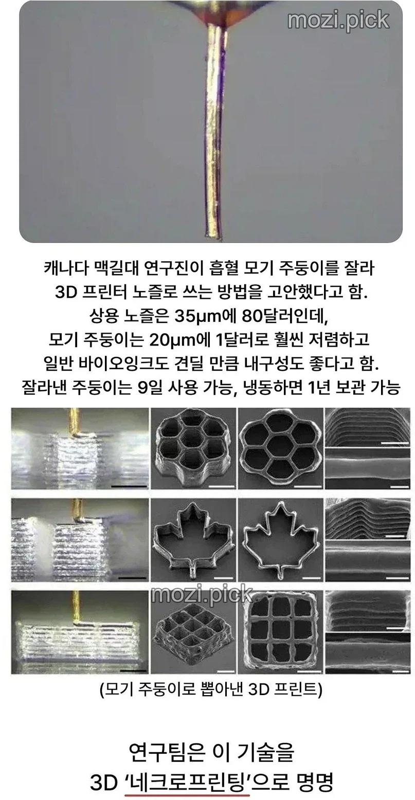 드디어 모기를 활용하기 시작한 인류