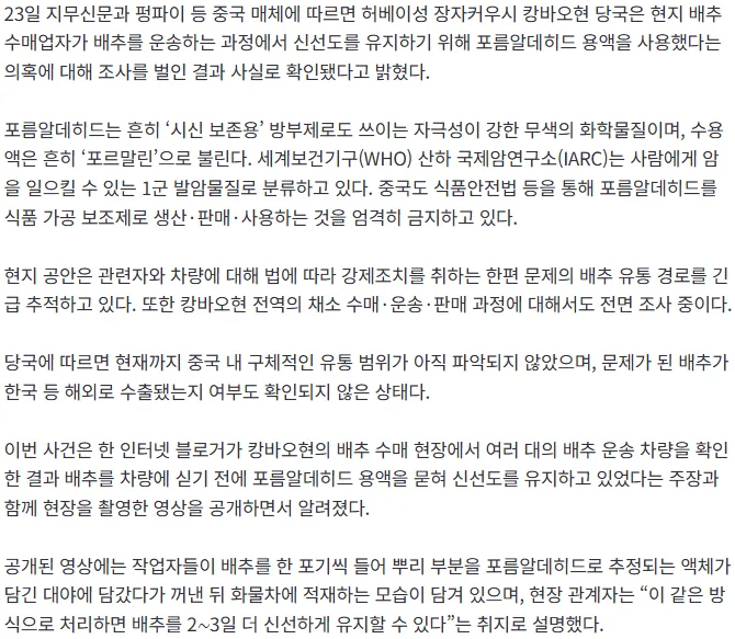 중국서 배추에 ‘시신 보존제’ 발암물질 포름알데히드 사용…한국 수출 여부 미확인