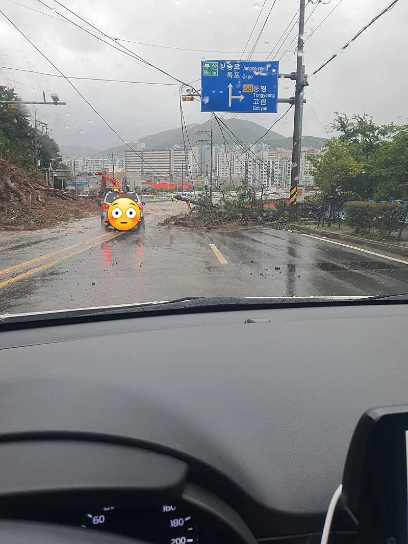거제 심각한데 복구도 부지런히 하는중