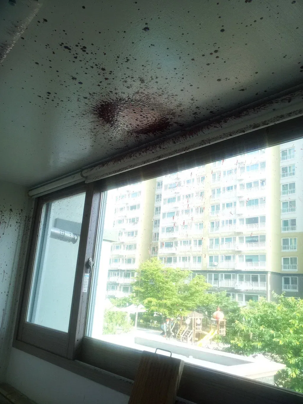 늦가을쯤 자주 발생하는 참혹한 복분자 살인사건