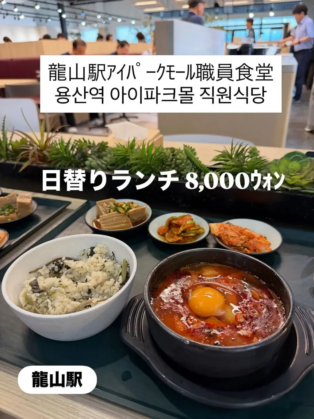 한국에서 특이한 여행을 하는 일본인