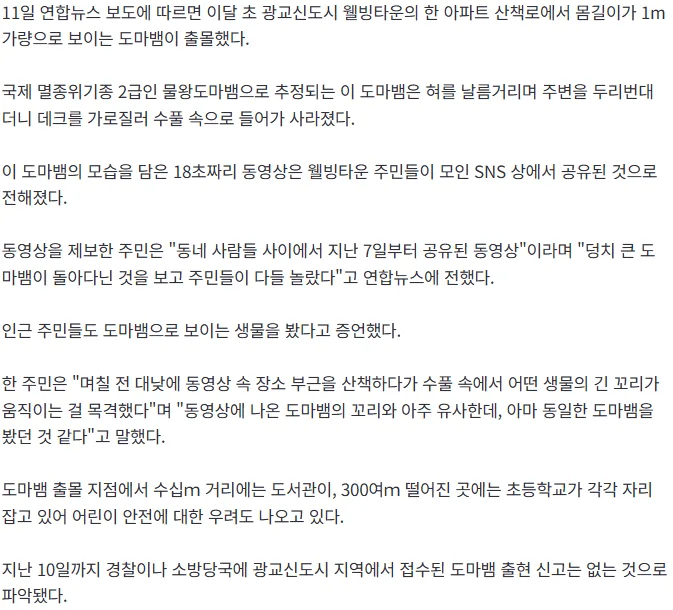 이번엔 1m 도마뱀 출몰…수원 광교 아파트 단지서 목격담