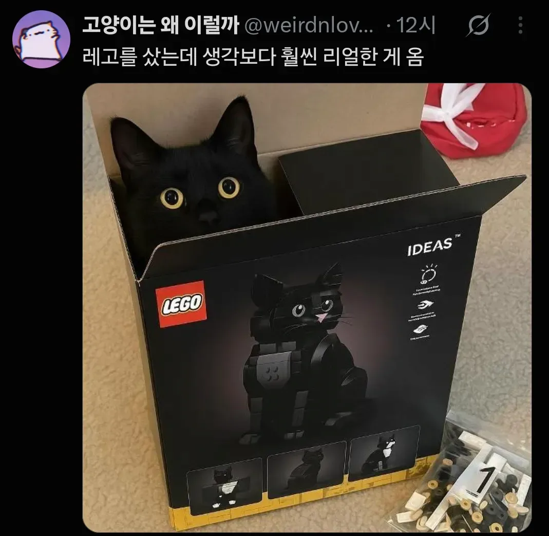 레고 샀는데 생각보다 너무 리얼한 게 옴