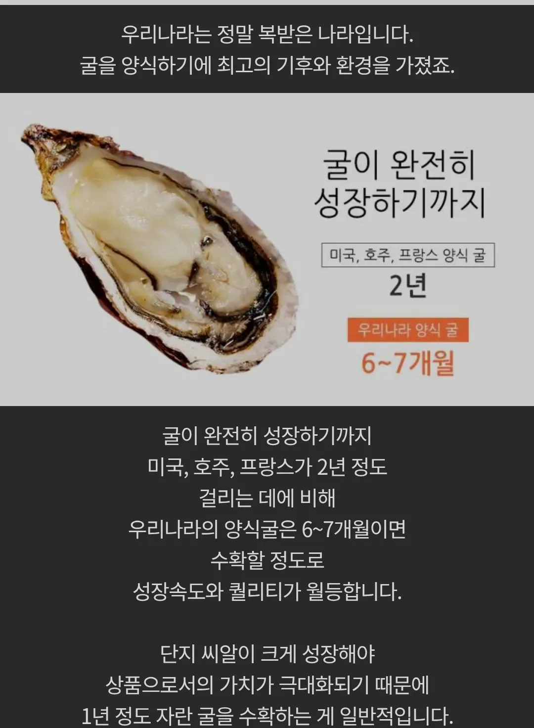 유럽은 차원이 달라병 (마늘&굴) 퇴치글