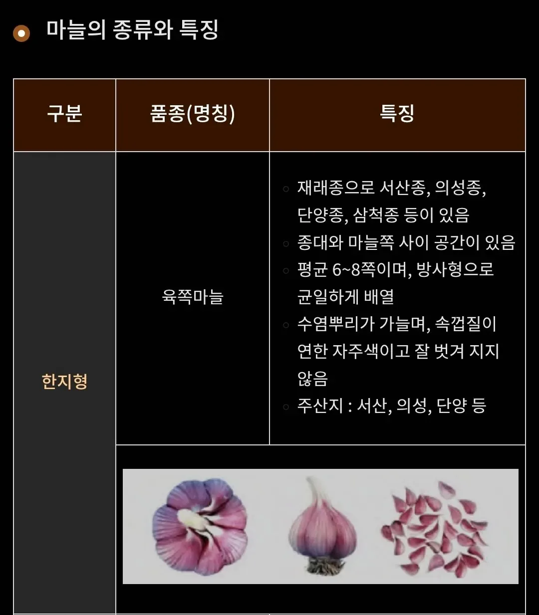 유럽은 차원이 달라병 (마늘&굴) 퇴치글
