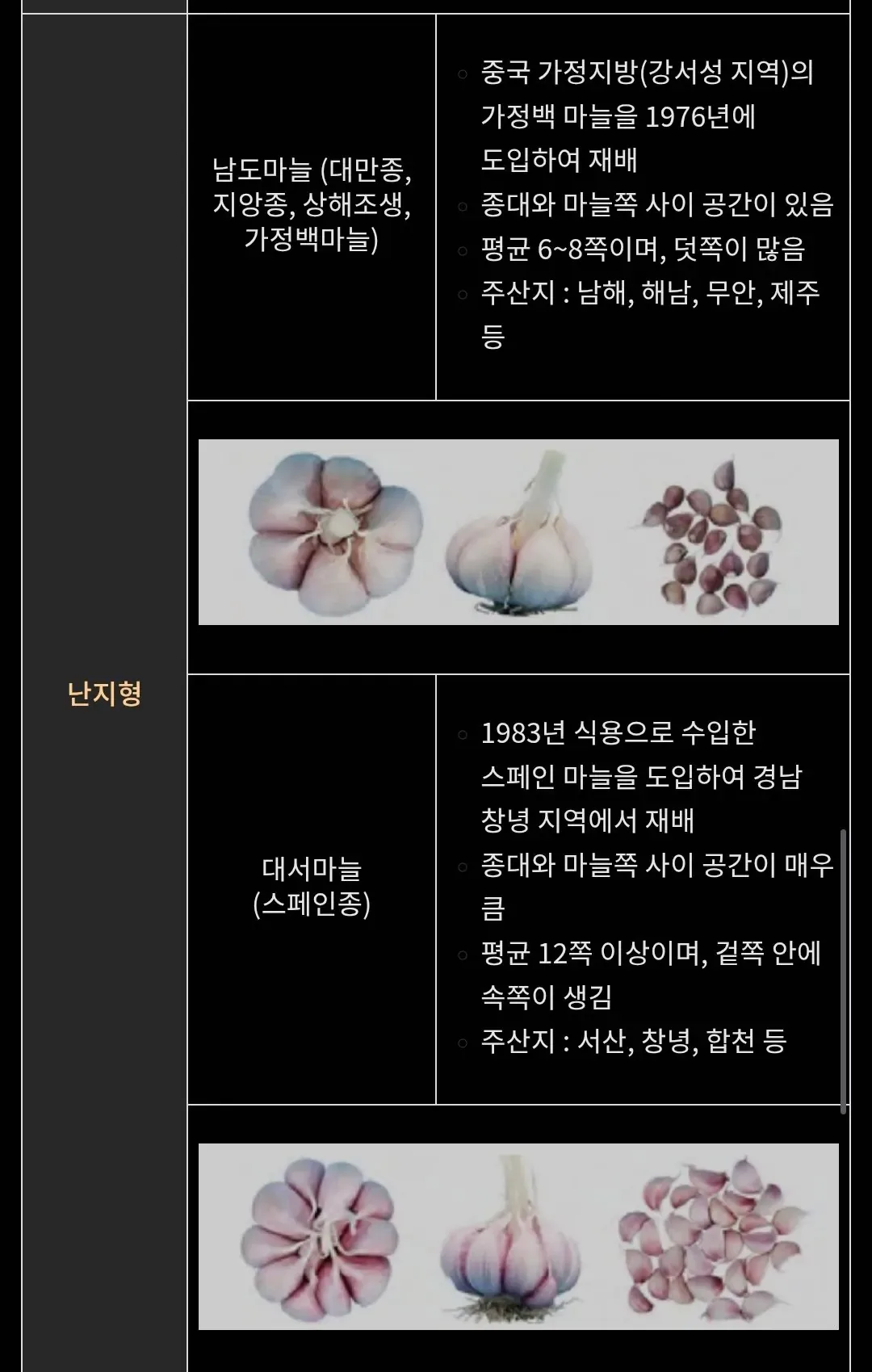 유럽은 차원이 달라병 (마늘&굴) 퇴치글