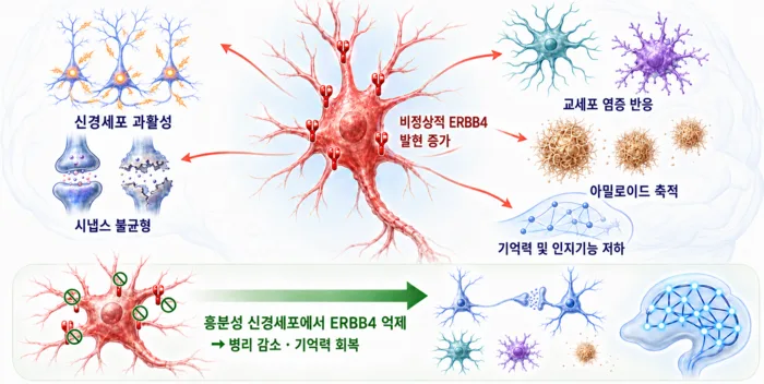 알츠하이머 근본 치료길 열렸다.news