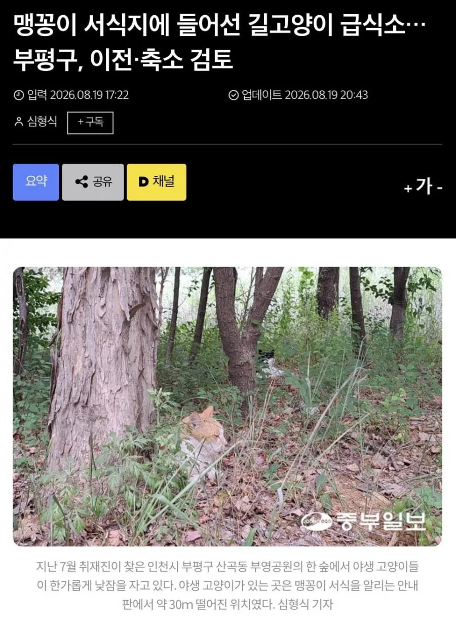 취재가 시작되자