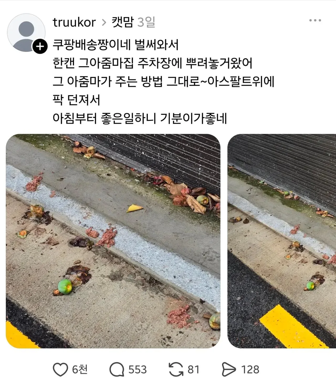 임자 제대로 만난 캣맘 ㅋㅋㅋ