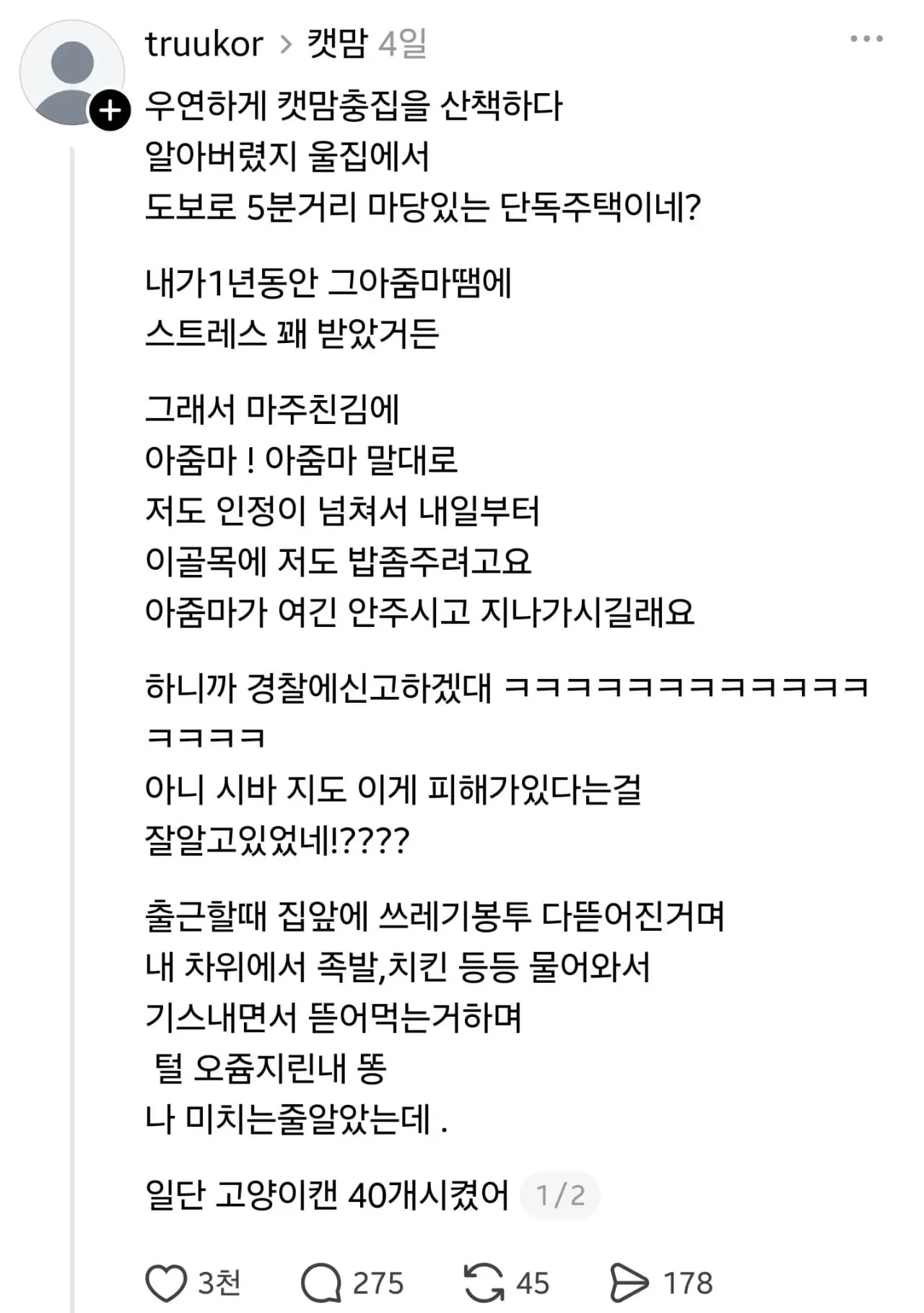임자 제대로 만난 캣맘 ㅋㅋㅋ