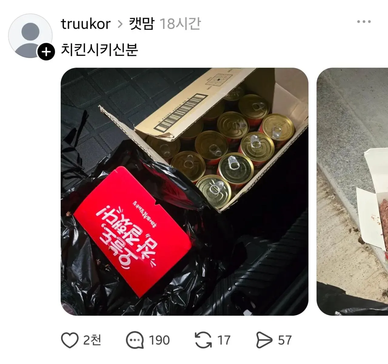 임자 제대로 만난 캣맘 ㅋㅋㅋ