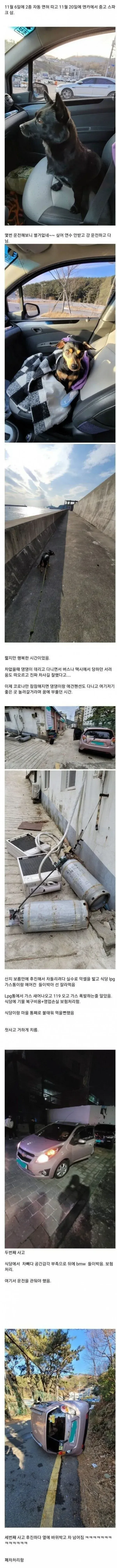 면허 따고 2주만에 경차 산 사람의 최후.jpg