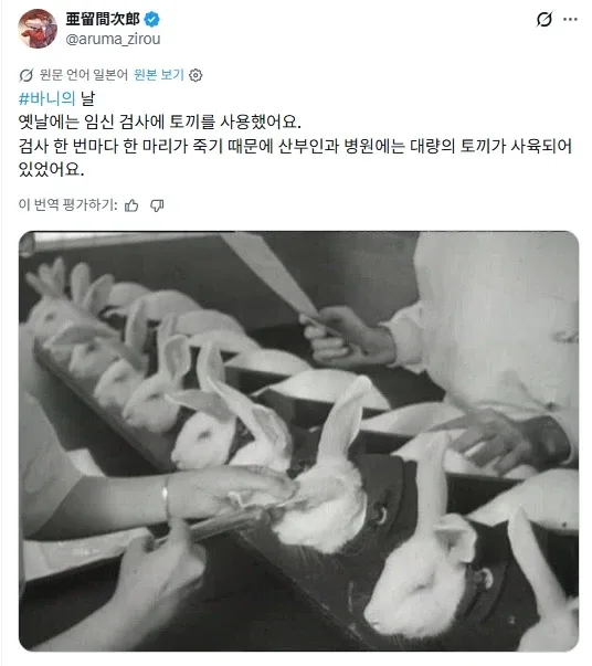 수십년전에 썼던 임신확인 방법