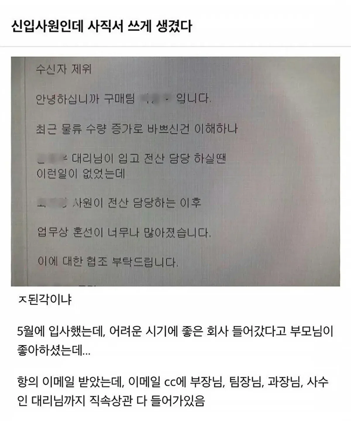 사직서 쓰게 생겼다는 신입사원