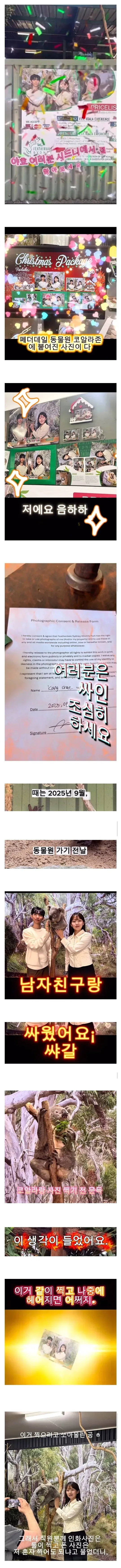 사진 공짜로 찍었다가 호주 명물이 된 한국인 커플.jpg