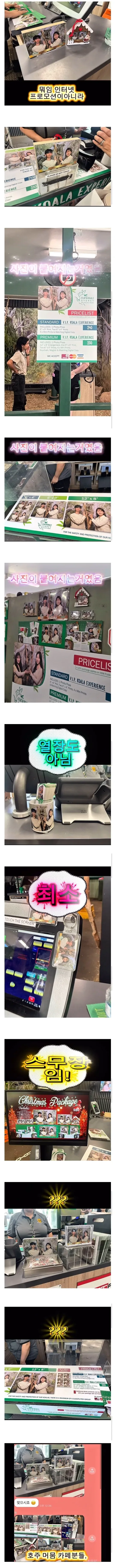 사진 공짜로 찍었다가 호주 명물이 된 한국인 커플.jpg