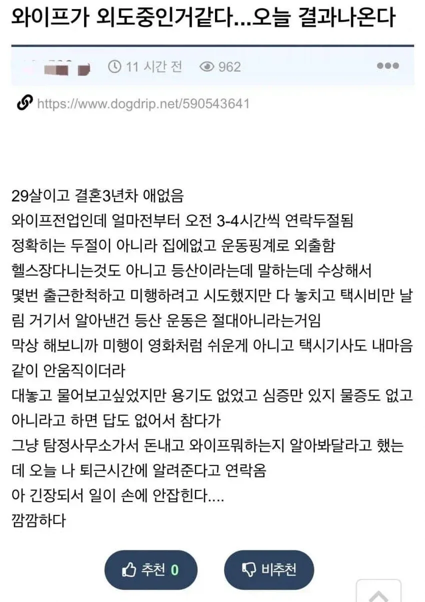 와이프 외도 후기