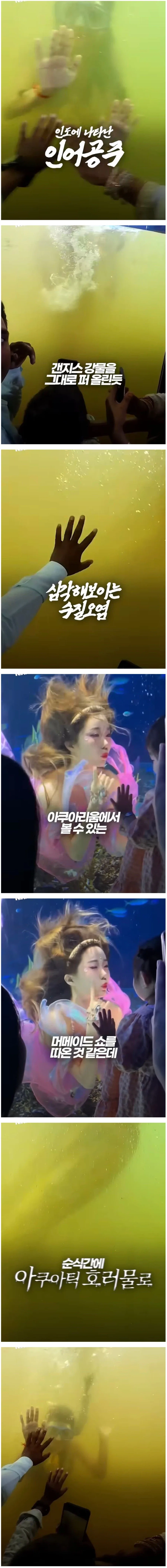 인도식 인어공주쇼.jpg