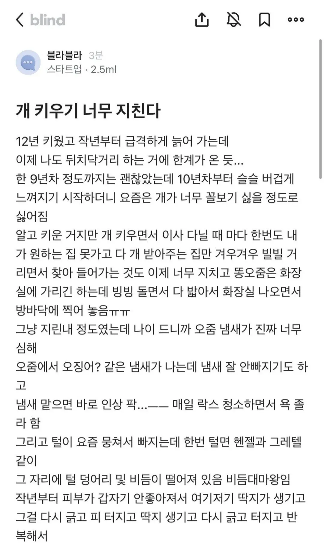 IMG_7501.jpeg 노견되니까 개 키우기 지친다.blind