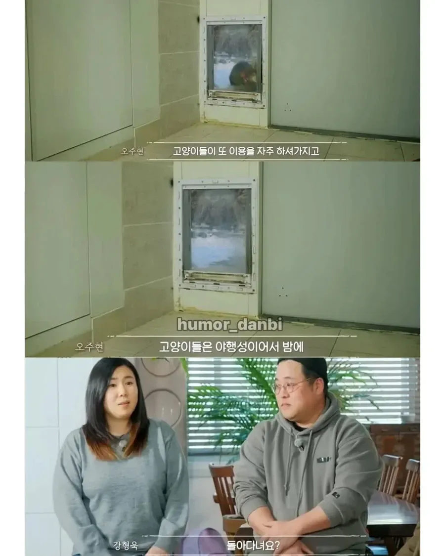 진짜로 동물을 사랑하는 사람