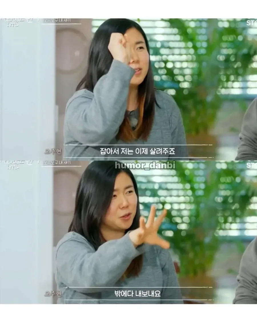 진짜로 동물을 사랑하는 사람
