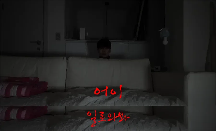 어느 유투버의 제주도 여행가서 살인 당할 뻔한 썰