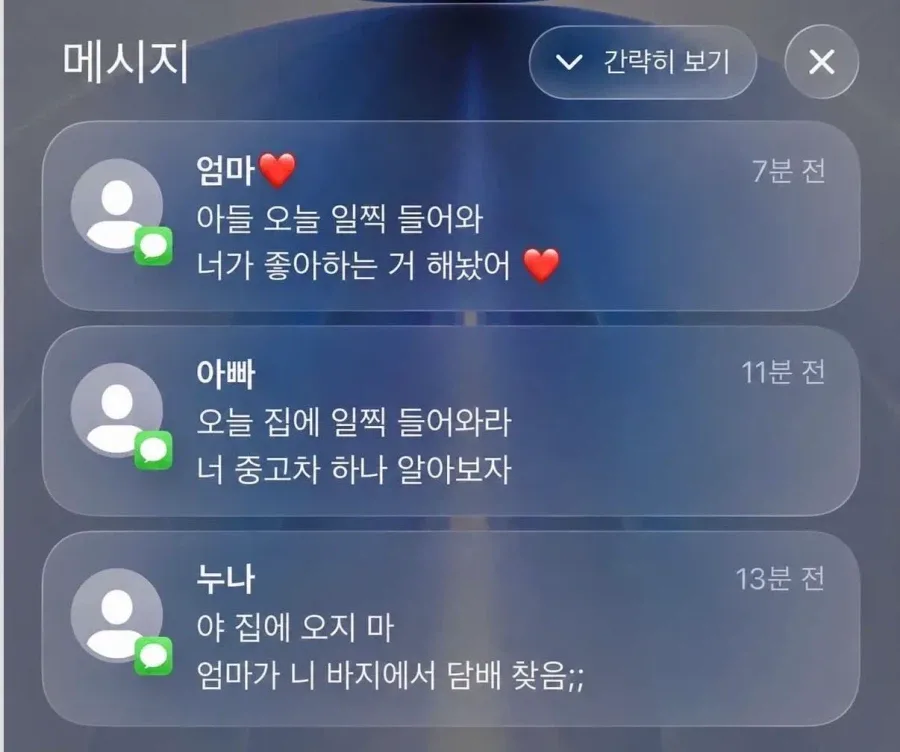 누나랑 사이가 아주 좋은 남동생.jpg