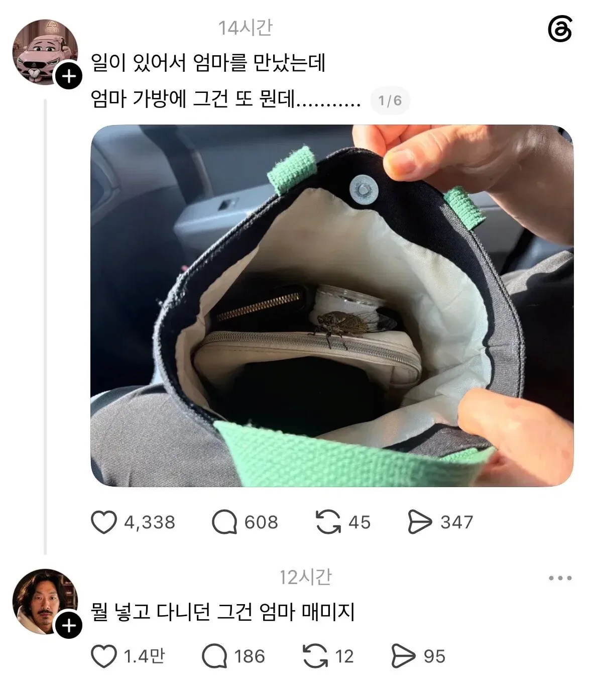 엄마 가방에 매미가 나왔을때 하는말