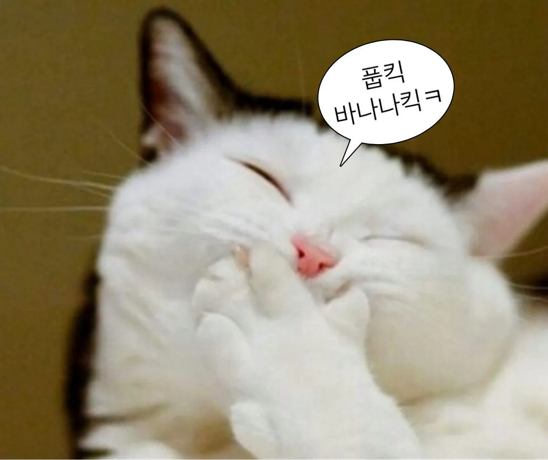 K컬처 열풍에 두손 든 일본…'쿨재팬' 결국 폐지 수순