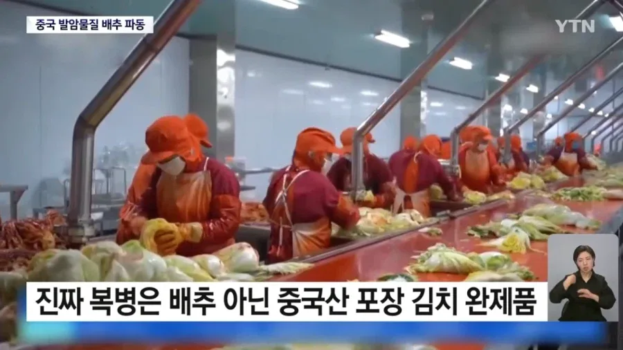 중국 '발암물질 배추' 파동